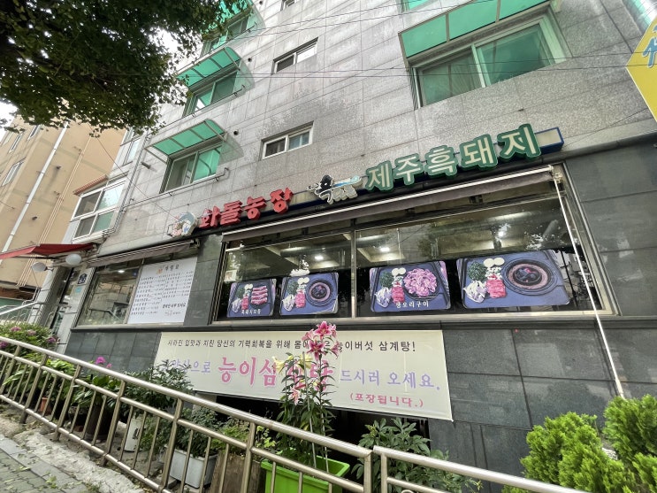  [정릉맛집 , 정릉골오리집] 능이버섯향이 가득한 오리백숙 내돈내먹 후기