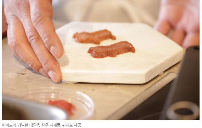 인공육 대체육 배양육 관련 기업 및 시장 동향 _ 2편 배양육 : 네이버 블로그