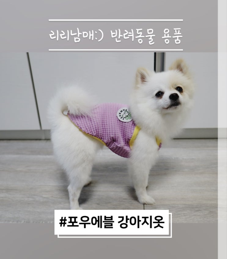 포우에블 강아지옷 추천