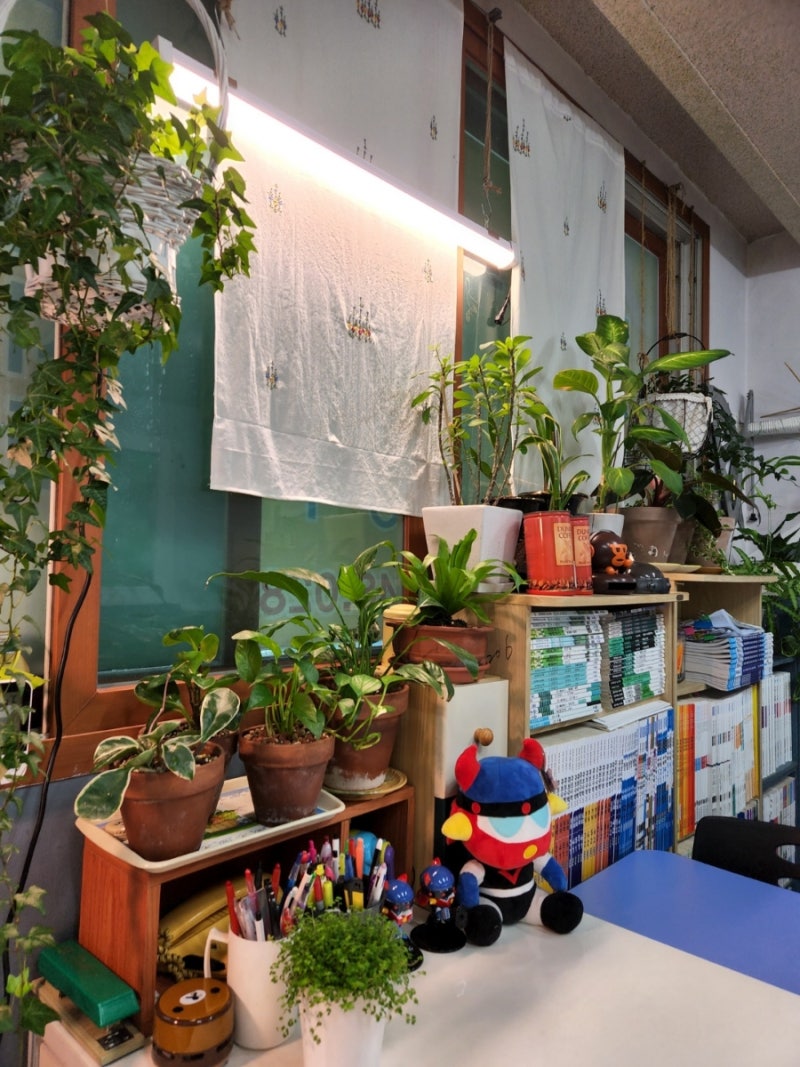 식물등추천) 히포팜텍 식물생장LED 볼램프로 식물키우기(식물등 구입시 확인할 점) : 네이버 블로그, image size:800x1067