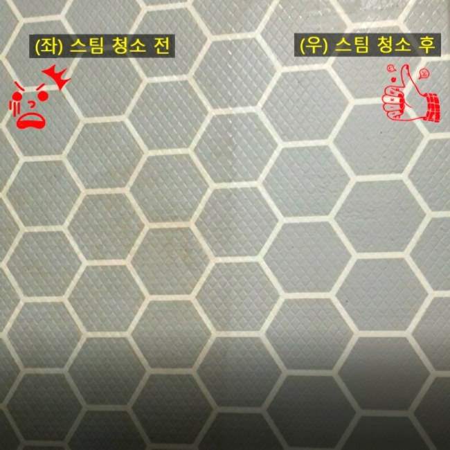 비쎌 스팀진공청소기로 강아지 매트 살균까지 비쎌 스팀진공청소기로 강아지 매트 살균까지