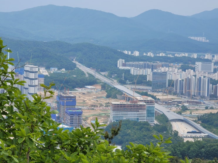  8월 입주대란 비상