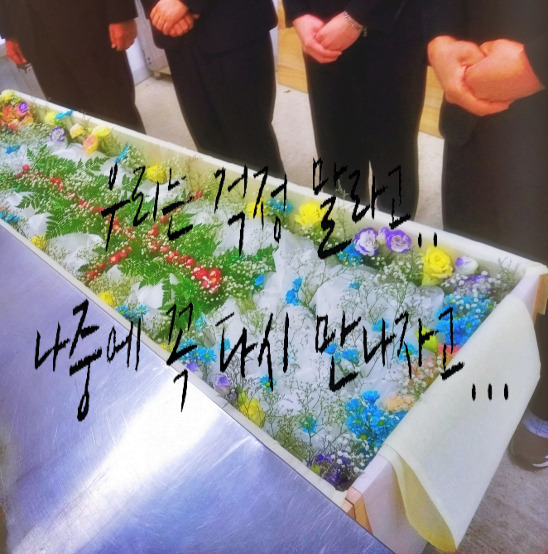  부모님 상조업체 순위 상품비교 일반적인 평균 비용 싼 상조 회사 왜 보통 많이 쓰는지?