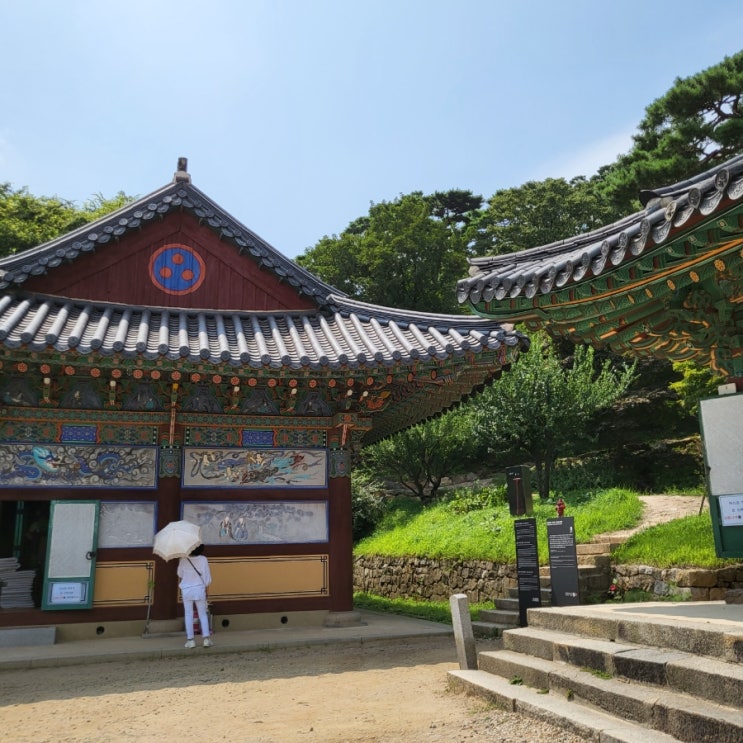  강아지와 함께하는 강화도 여행, 애견 여행