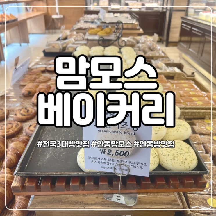 전국유명빵집 맘모스 베이커리