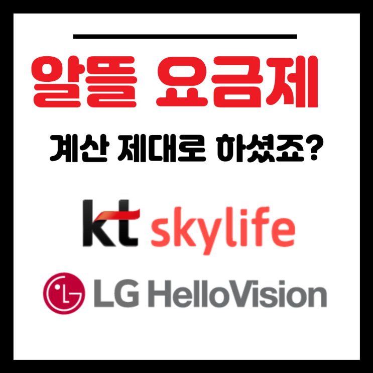  알뜰 인터넷 요금제 잘 계산해 보셔야 됩니다!
