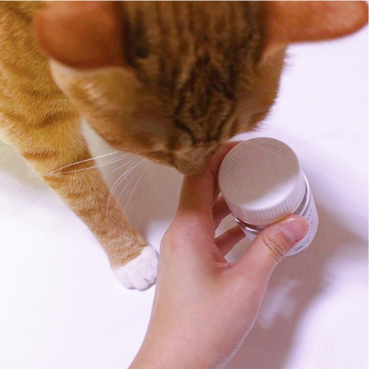  고양이 유리너리 영양제 :: 네츄럴리서치 방광염 영양제