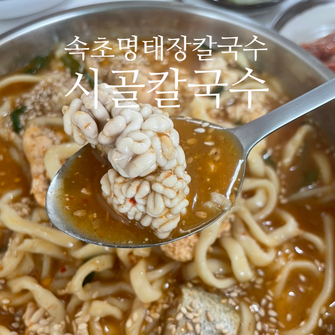  속초 맛집 시골칼국수 명태회냉국수와 장칼국수 리뷰