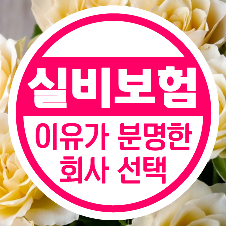  유병자 실비보험 추천 : 객관적인 근거를 바탕으로 골랐어요.
