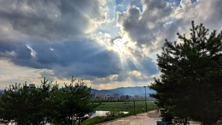  아이들 여름 방학 시작