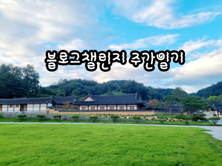  [블챌] 주간일기 챌린지 7/23~7/29