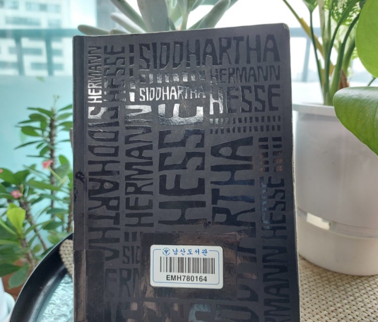 헤르만 헤세 싯다르타 Siddhartha 인도의 시문학 세상과 나 헤르만 헤세 싯다르타 Siddhartha 인도의 시문학 세상과 나