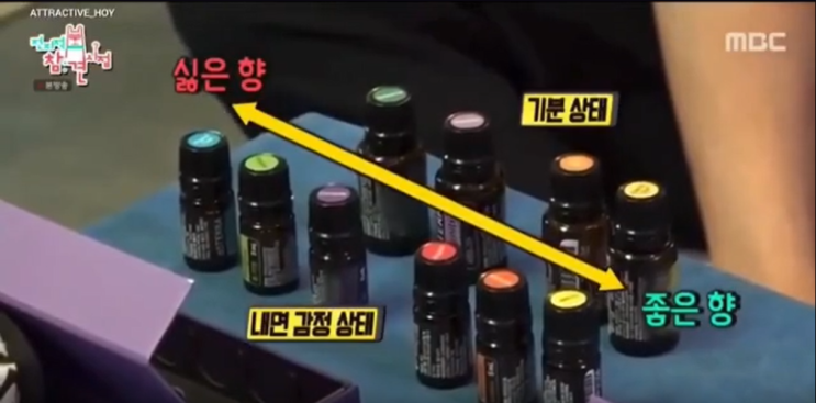  아로마오일! 도테라를 선택하는 이유 11가지!!!