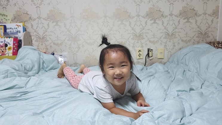  여름구스이불 알러지케어 여름 차렵 이불 다운뱅크 샤인90