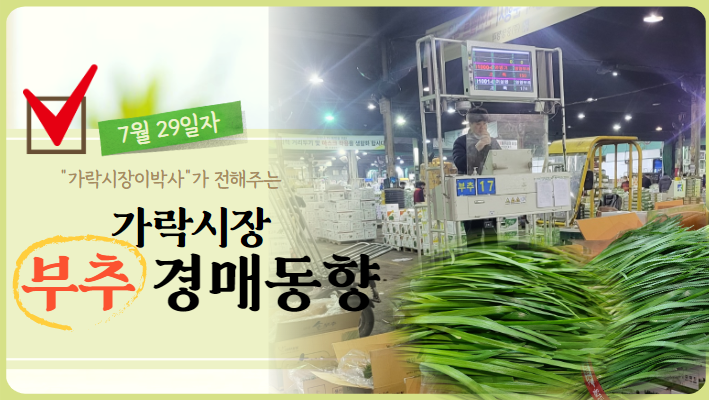  [경매사 일일보고] 가락시장 7월 29일자 "부추" 경매동향을 살펴보겠습니다!