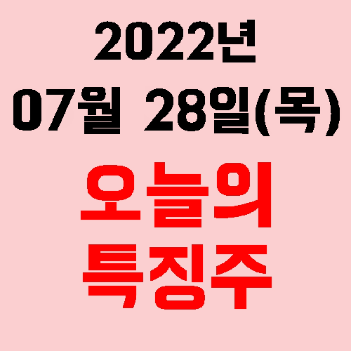 오늘의 시장 특징주 2022년 07월 28일(목)