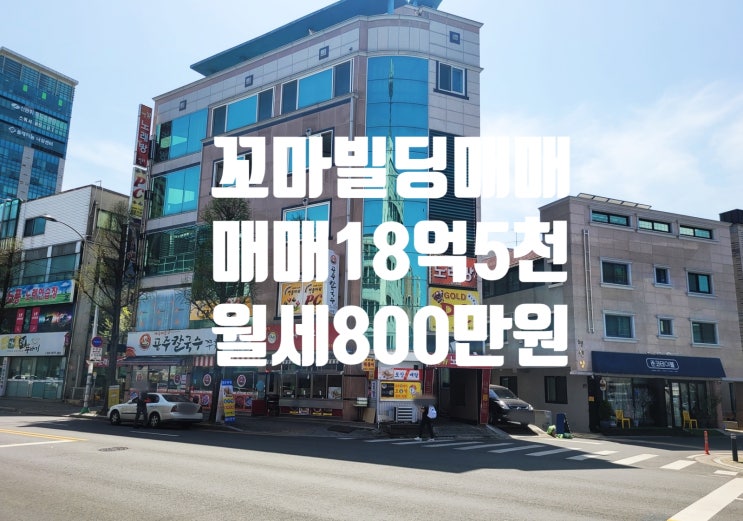  코너 각지 월세 800만원 공실 없는 10억대 대전 궁동 꼬마 빌딩 매매