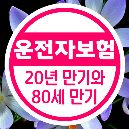  비갱신운전자보험 가격 20년 만기와 80세 만기, 얼마나 차이가 날까?