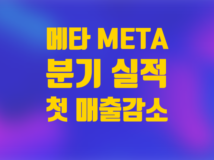  미국주식 메타 분기 실적 첫 매출 감소