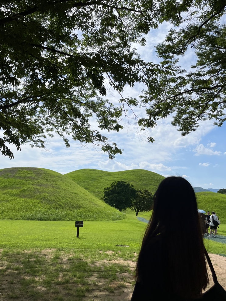  [여행 기록지 - 경상북도 경주] 2022.07.14~15 (2)