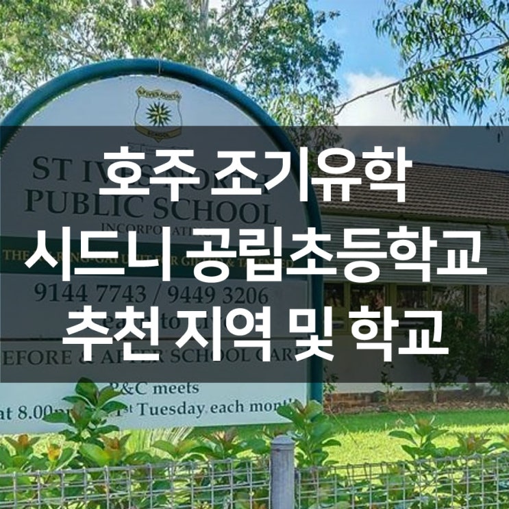  호주조기유학 : 시드니 공립초등학교 추천 지역 및 학교