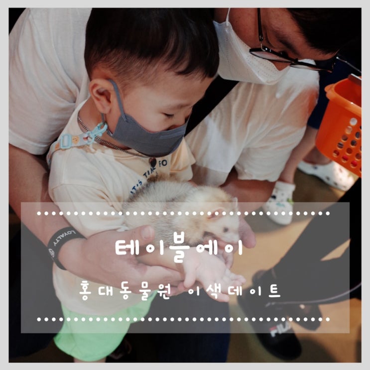  테이블에이 홍대동물원 이색데이트