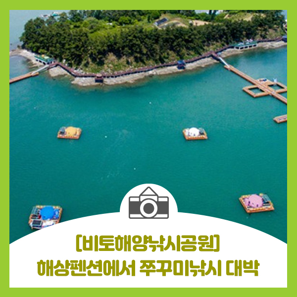 [비토해양낚시공원]사천시 해상펜션에서 쭈꾸미낚시 대박
