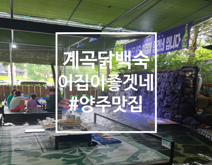  서울근교 계곡 닭백숙,평상 양주 이집이좋겠네 후기, 예약방법