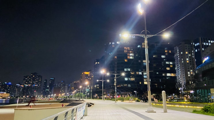  탑마트) 뛰어다니는 조카들과 장보기  해운대 야경