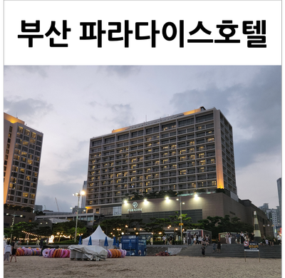  부산 파라다이스호텔 여름 호캉스+해수욕까지 완벽한 위치