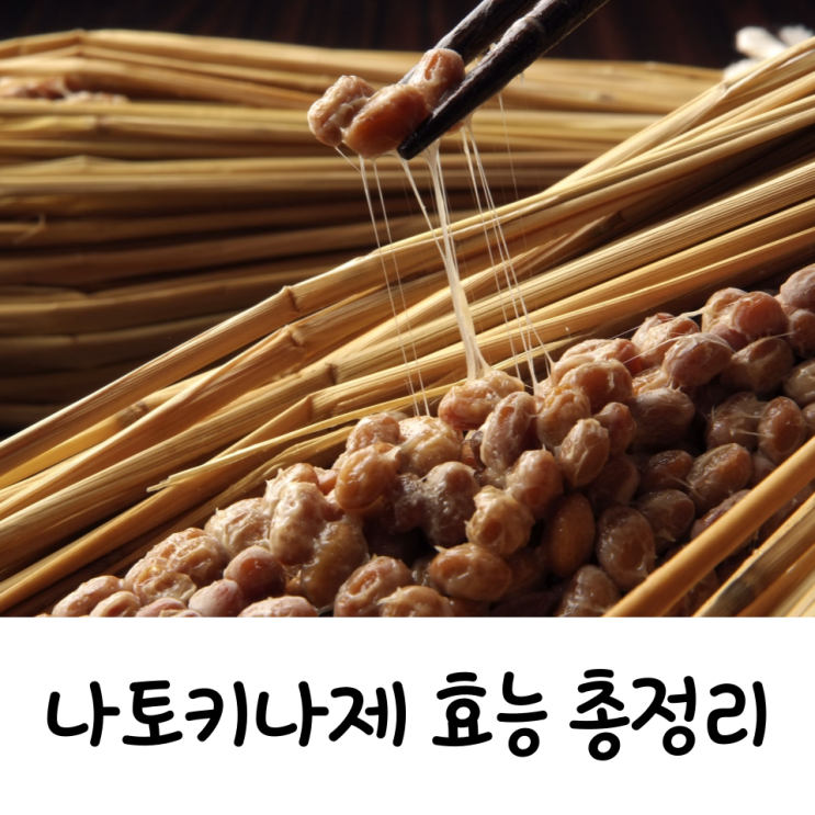  나토키나아제 나토키나제효능 총정리
