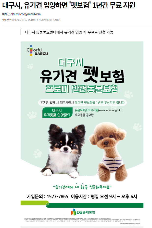 [대구시+DB보험] 대구시,유기견 입양하면 '펫보험' 1년간 무료지원