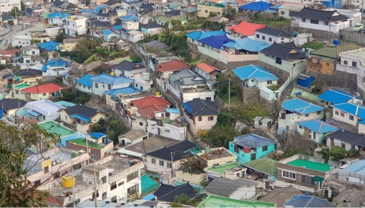  소규모 재건축 조합원 5년 보유, 3년 거주 주택매매 가능(8월 4일부터 시행)