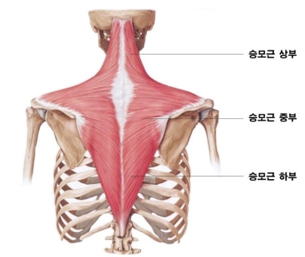 라운드엠 이미지