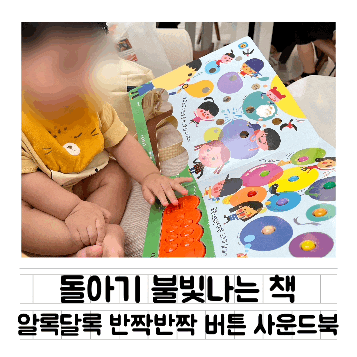  [내돈내산] 돌아기 추천 조작북 / 사운드북 / 알록달록 반짝반짝 버튼 사운드북 (제주 한라서적)
