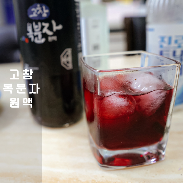 고창 복분자 원액 100%로 만든 에이드 끝내줘요 Ft. 좋은이웃
