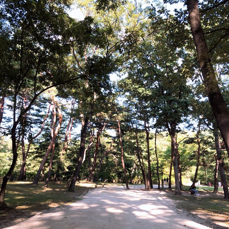 [화성가볼만한곳] 화성 융건릉 숲길따라 산책나들이~입장료 융릉건릉 화성시 문화관광