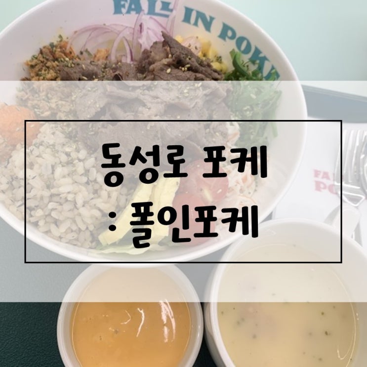  [대구/서울] 폴인포케 동성로점, 포르투나 / 문정역 로바타나미, 익선동 온천집, 시그니처알