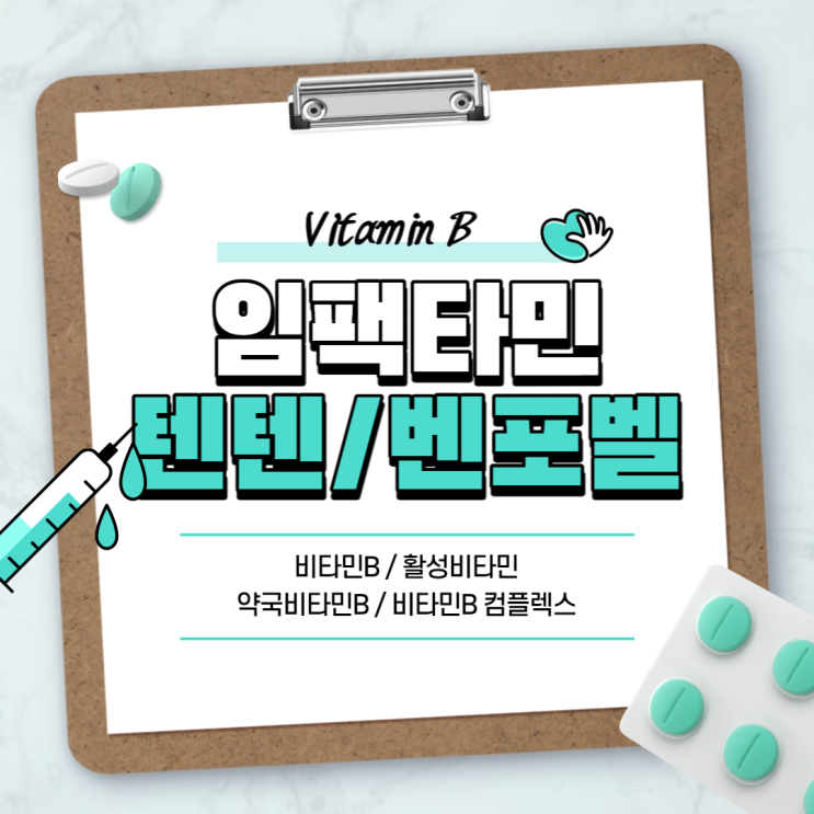  약국비타민 : 임팩타민 텐텐 벤포벨 【#비타민B #활성비타민 #약국비타민B #비타민B컴플렉스 #텐텐영양제 #키즈영양제 #성장기영양제】
