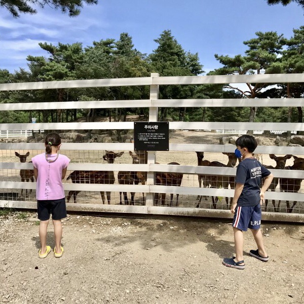 순간포착 7월 28일에 이런일이 | 슬쌍디아빠 과거로의 산책