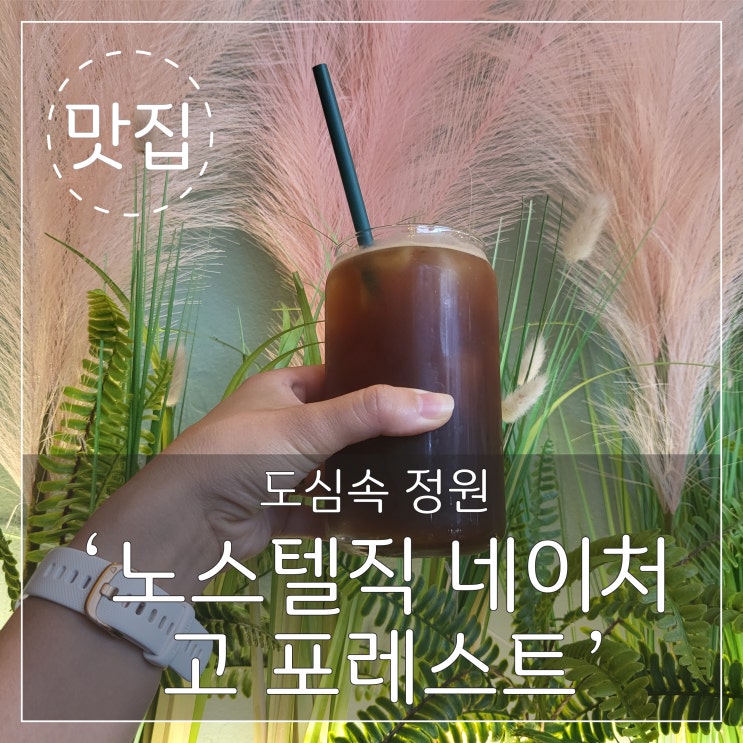  '노스텔직 네이처 고 포레스트' 부산 서면_도심속 정원 카페 