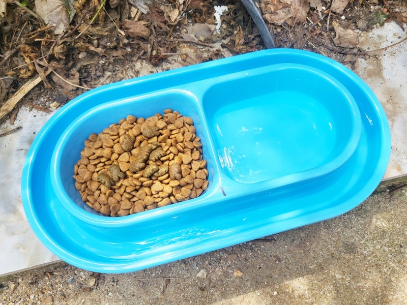 길고양이 개미퇴치 밥그릇 :: 정말 벌레 방지될까? 한번 사용해본 후기
