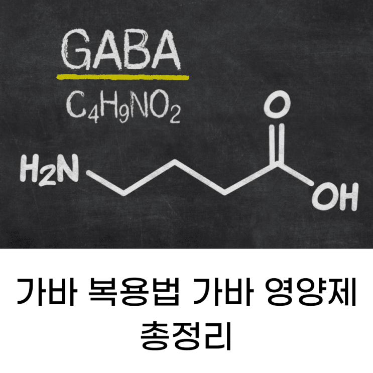 가바 복용법 가바 영양제 총정리