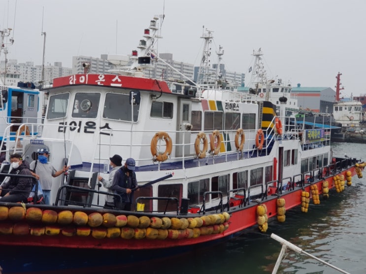 인천배낚시 낚시체험 국제유선 다신 이용하고 싶지 않은곳 ! 인천배낚시 낚시체험 국제유선 다신 이용하고 싶지 않은곳 !