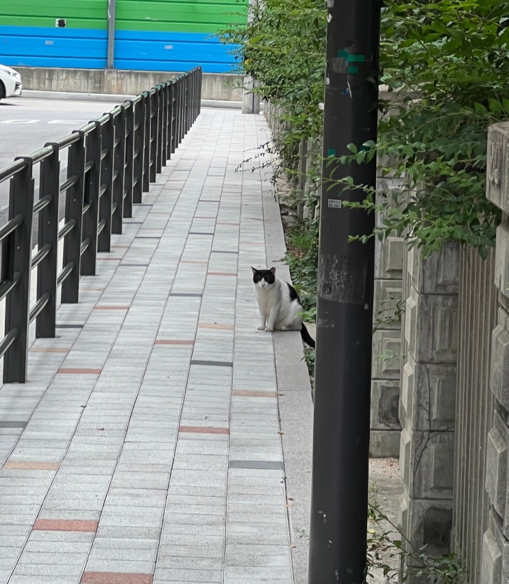  [일상] 2022.07.25 ~ 07.31