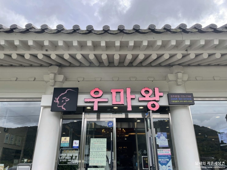  경주 맛집) 보문단지 한우 물회맛집 '우마왕'