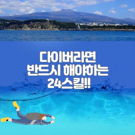  다이브 마스터, 다이빙 강사 - 프로가 되기위한 24스킬