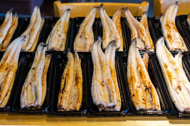  일산 장어맛집 면역력에 좋은음식 황칠풍천장어탕 장어미식가 (자포니카 풍천장어)