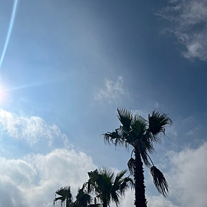 여름과 청춘의 교집합 (제주 2~3일차)