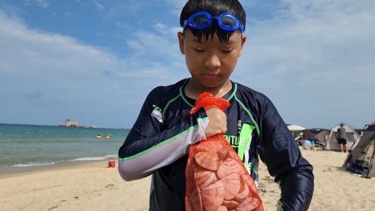  삼포해수욕장 조개 골뱅이 천국 왜이렇게 많아? / 강원도 고성
